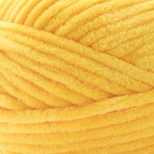 Summer Squash
