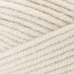 Premier Basix Chunky Yarn