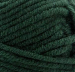 Premier Basix Chunky Yarn