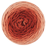 Beneficent Bella Crochet Baby Blanket