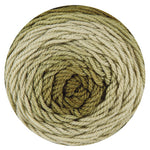 Beneficent Bella Crochet Baby Blanket