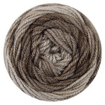 Bag-O-Day Tonal Hues Yarn