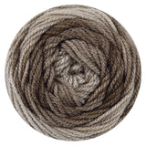 Bag-O-Day Tonal Hues Yarn