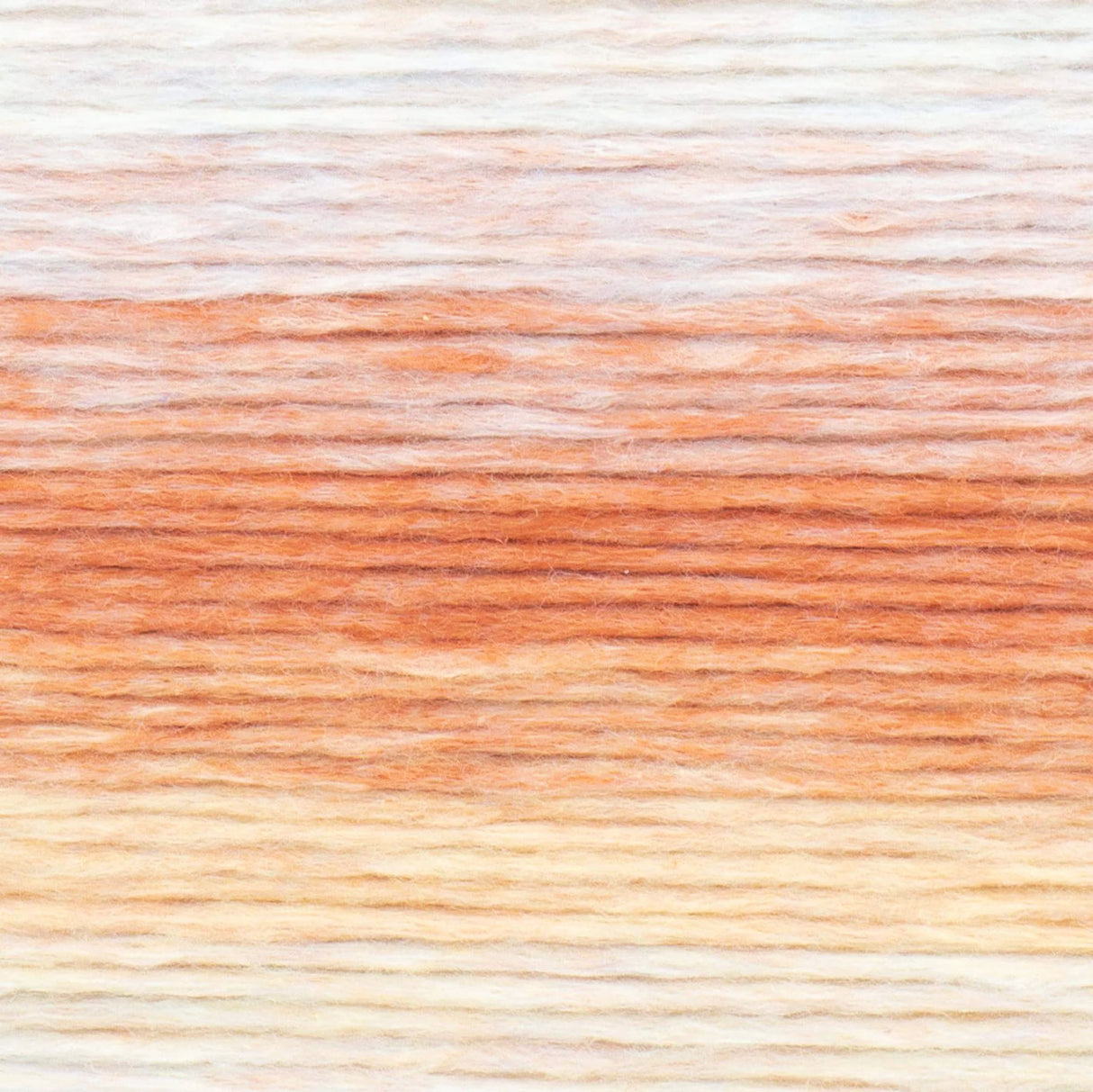 Lion Brand Landscapes Renewed Yarn