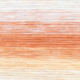 Lion Brand Landscapes Renewed Yarn