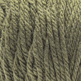 Red Heart Super Easy Yarn