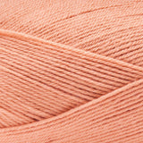 Premier Anti-Pilling Everyday Super Fine Yarn