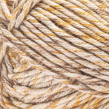 Caron Simply Me Mosaic Yarn