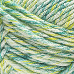 Caron Simply Me Mosaic Yarn