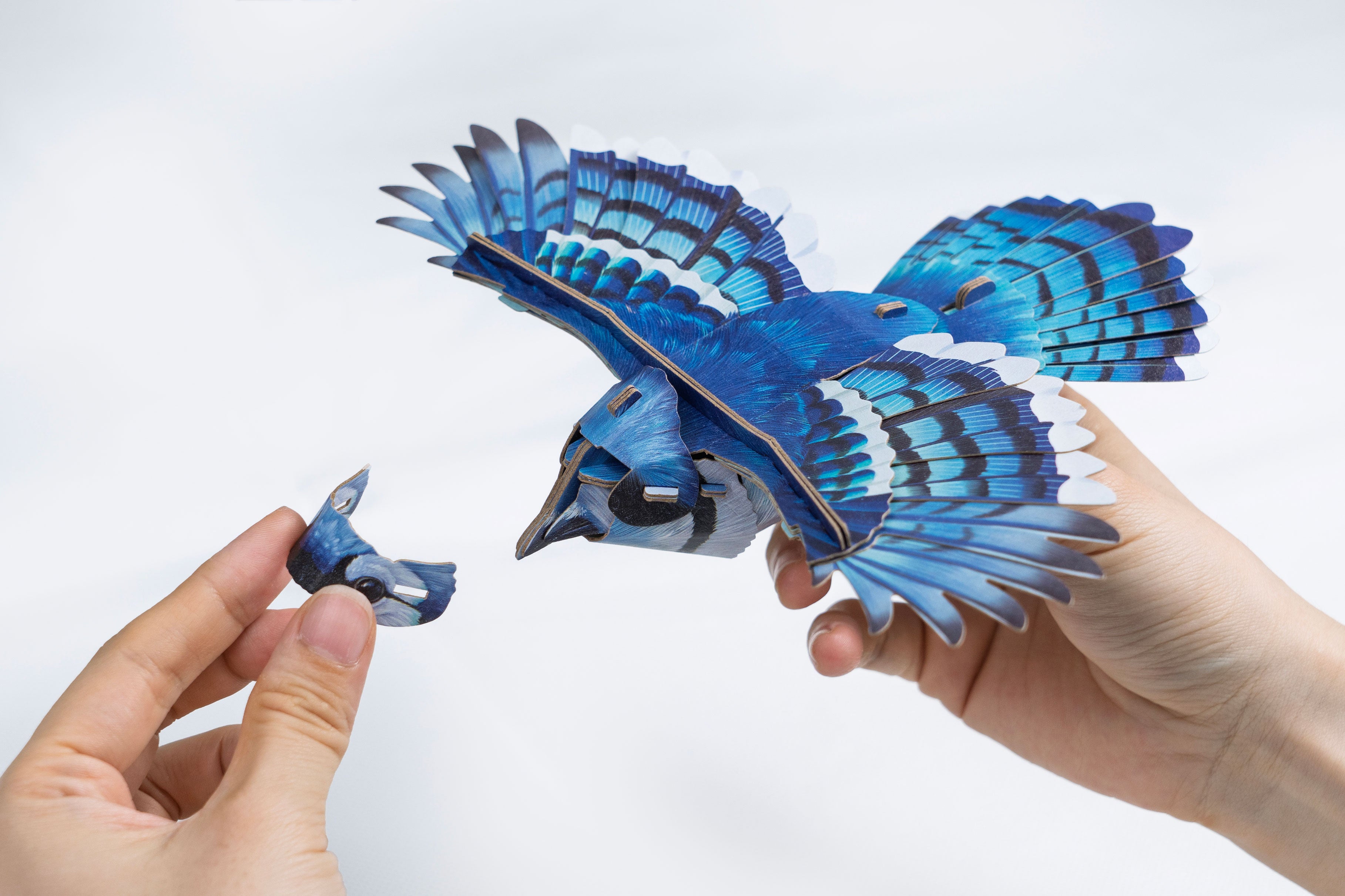 Blue Jay 3D Bird Puzzle – Mary Maxim