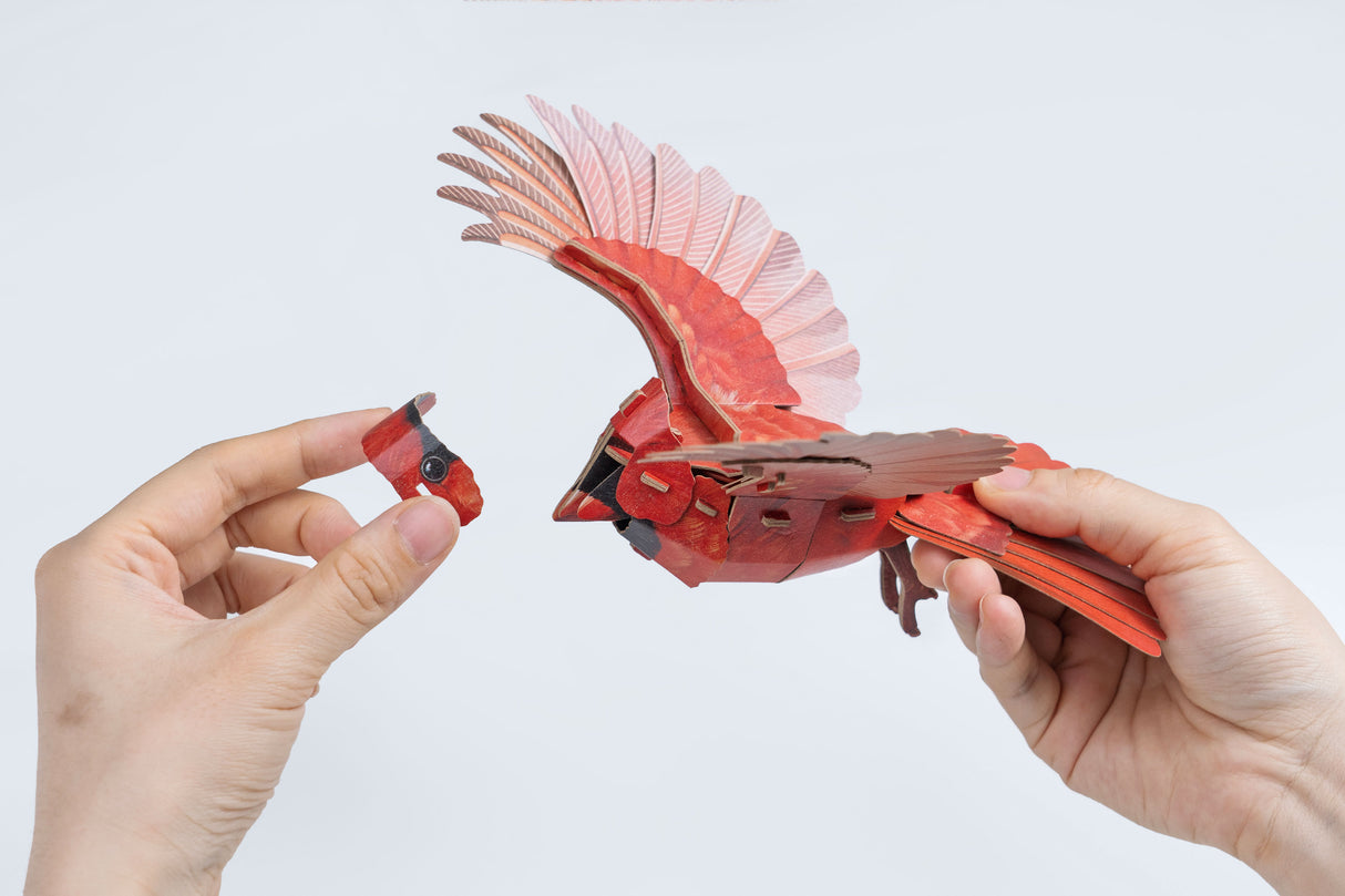 North American Cardinal 3D Bird Puzzle