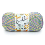 Lion Brand Bundle of Love Yarn
