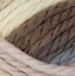 Bernat Softee Chunky Yarn