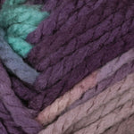 Bernat Softee Chunky Yarn