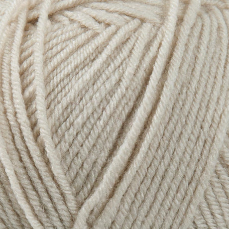 Mary Maxim Maximum Value Yarn