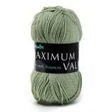 Mary Maxim Maximum Value Yarn