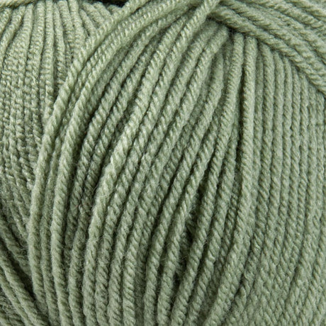 Mary Maxim Maximum Value Yarn