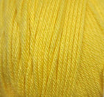 Lady Liberty Crochet Blanket