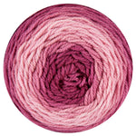 Lady of the Board Blanket