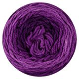 Lady of the Board Blanket