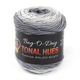 Bag-O-Day Tonal Hues Yarn