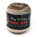 Bag-O-Day Tonal Hues Yarn