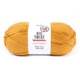 Big Twist Value Pound Plus Yarn