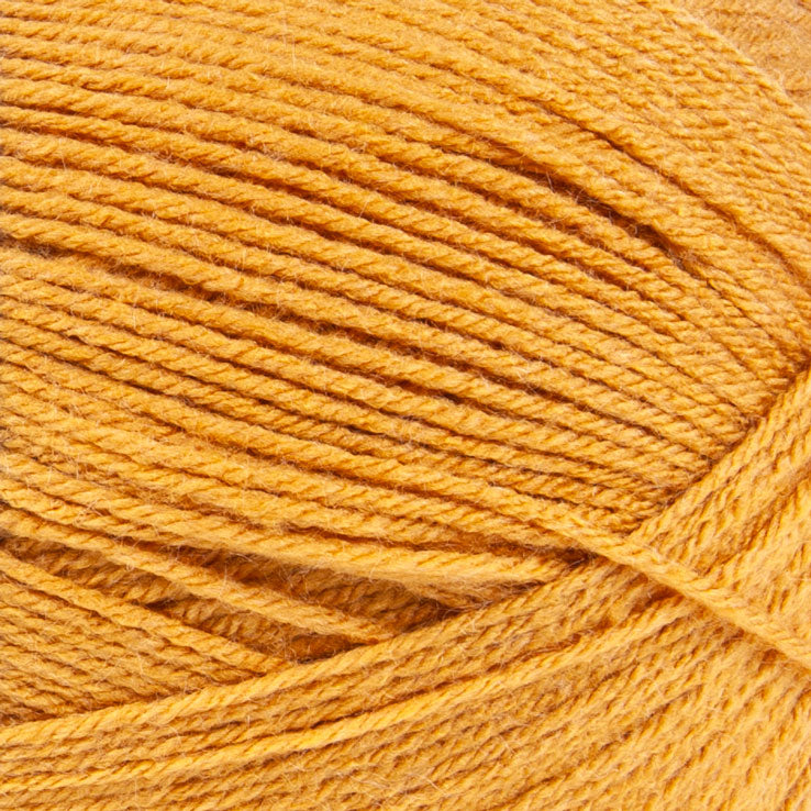 Big Twist Value Pound Plus Yarn