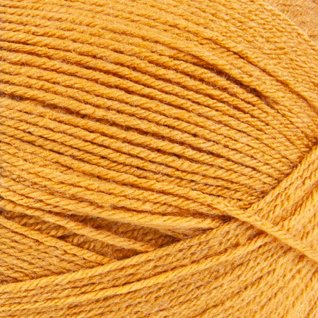 Big Twist Value Pound Plus Yarn