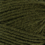 Mary Maxim Living Yarn