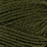 Mary Maxim Living Yarn