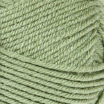 Mary Maxim Living Yarn