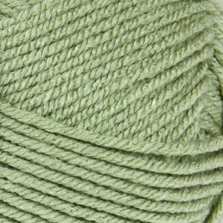 Mary Maxim Living Yarn