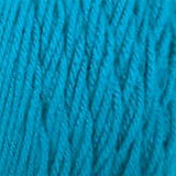 Big Twist Value Yarn