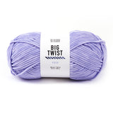 Big Twist Posh Yarn