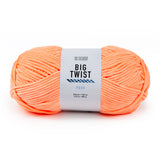 Big Twist Posh Yarn