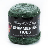 Bag-O-Day Shimmering Hues Yarn