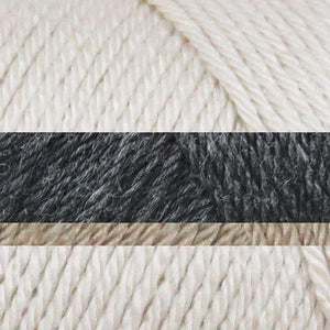 Peuplier/Charbon foncé/Moka