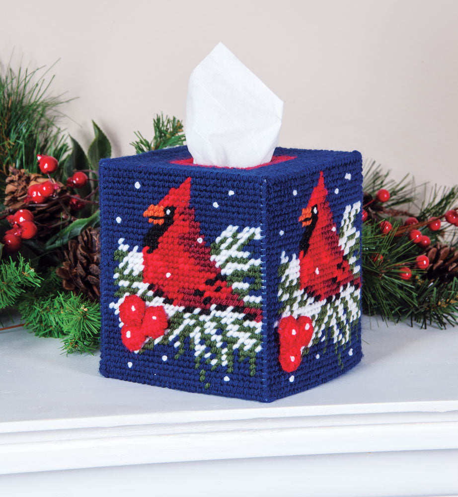 The Visitor Plastic Canvas Tissue Box Cover Kit – Mary Maxim