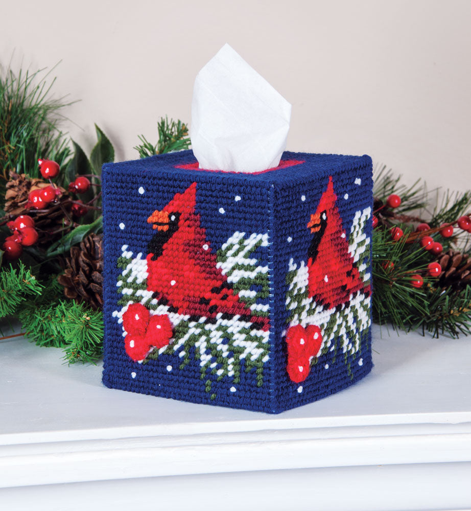 The Visitor Plastic Canvas Tissue Box Cover Kit