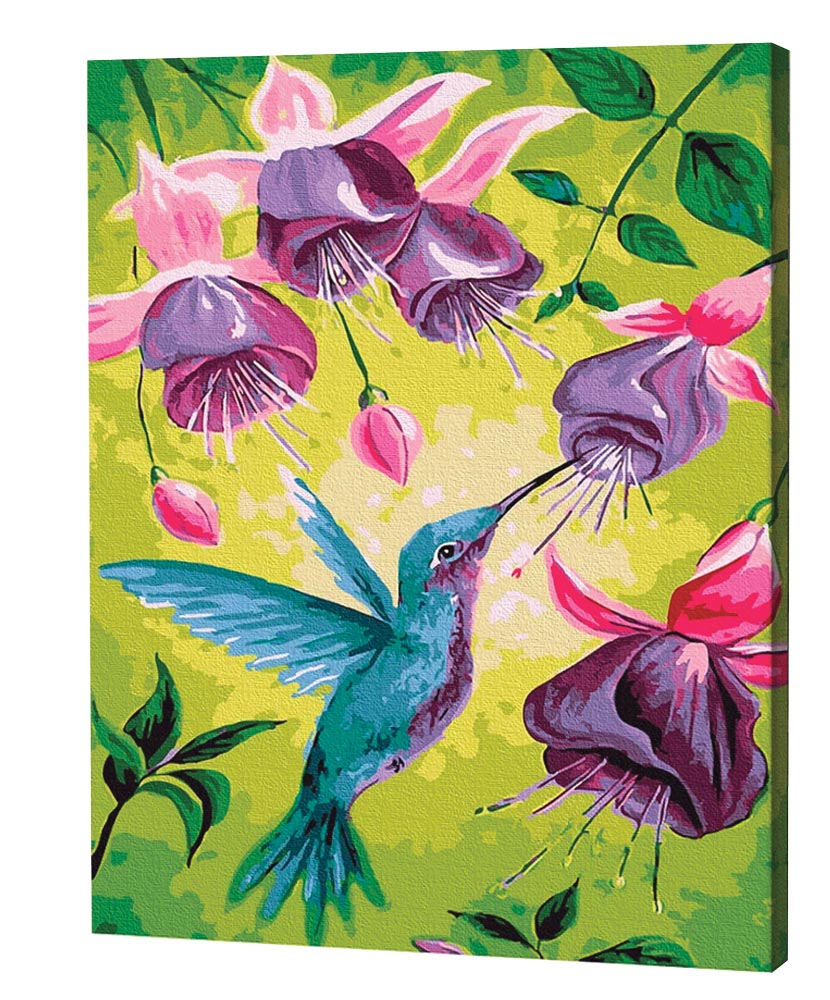 Hummingbird Paint By Number Kit