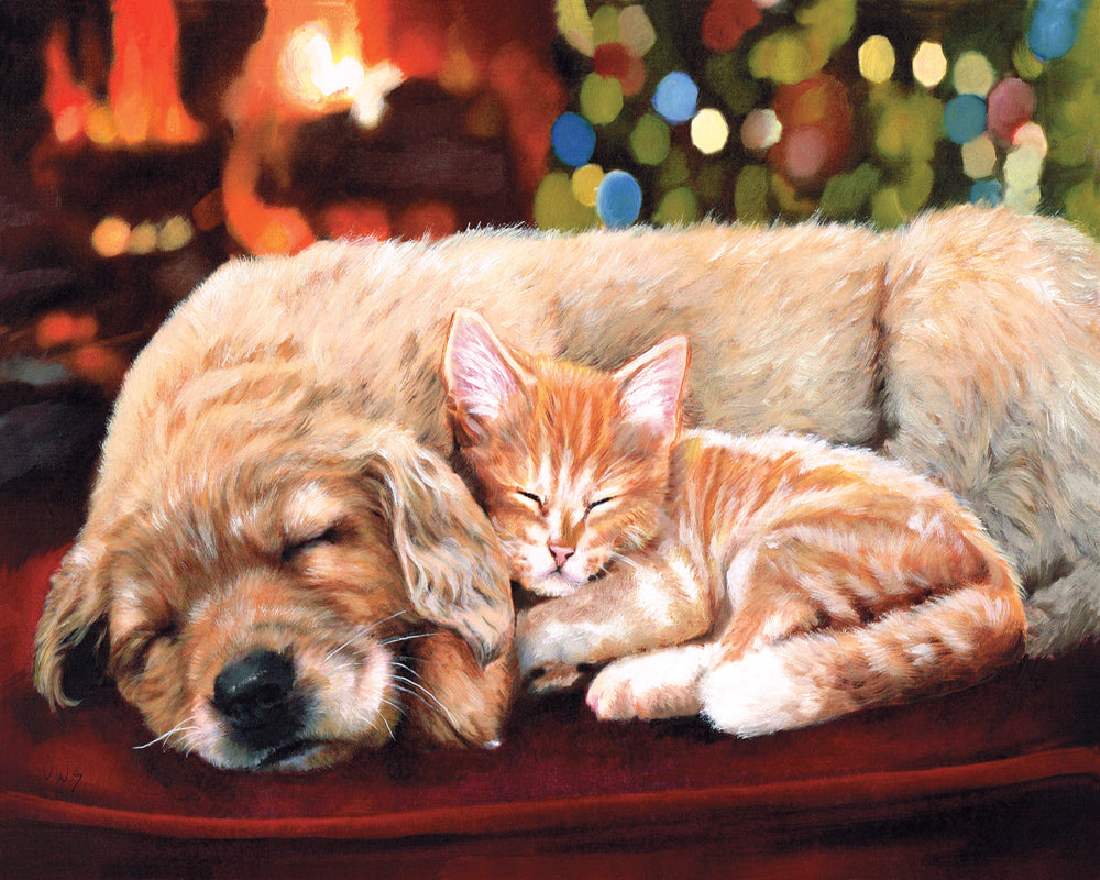 Sleeping Companions Paint By Number Kit