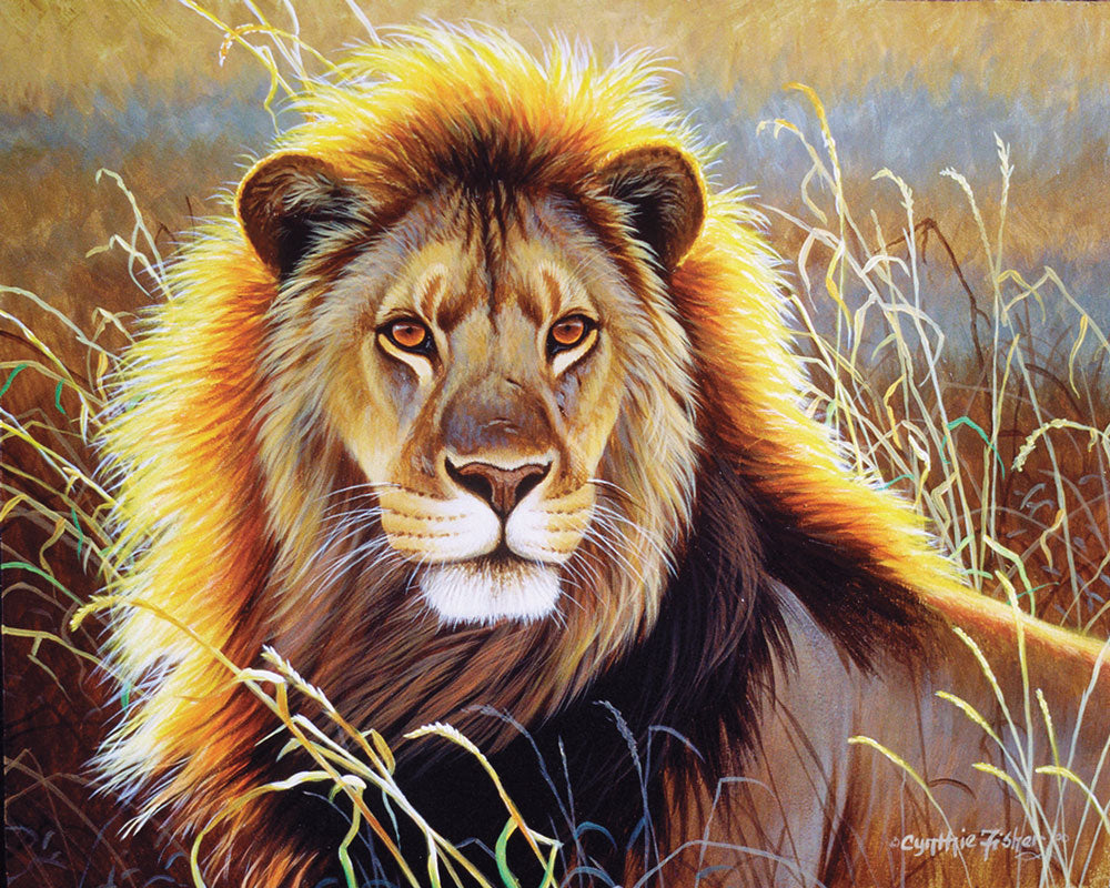 Lion Savana Paint By Number Kit
