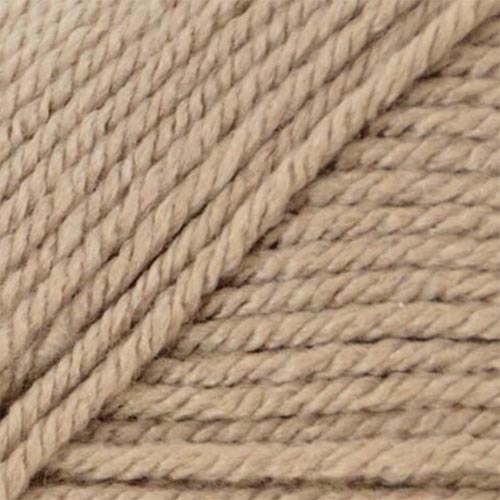 Premier Anti-Pilling Everyday Worsted Yarn-Rust 