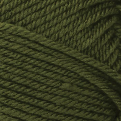 Premier Anti-Pilling Everyday Worsted Yarn-Pine Green, 1 count