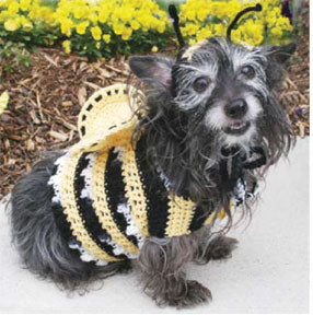 Free Dog's Bumble Bee Costume Crochet Pattern