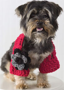 Free Doggie Shrug Crochet Pattern