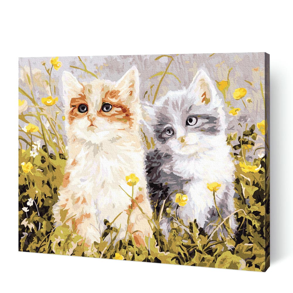 Two Cats Peering Paint By Number Kit