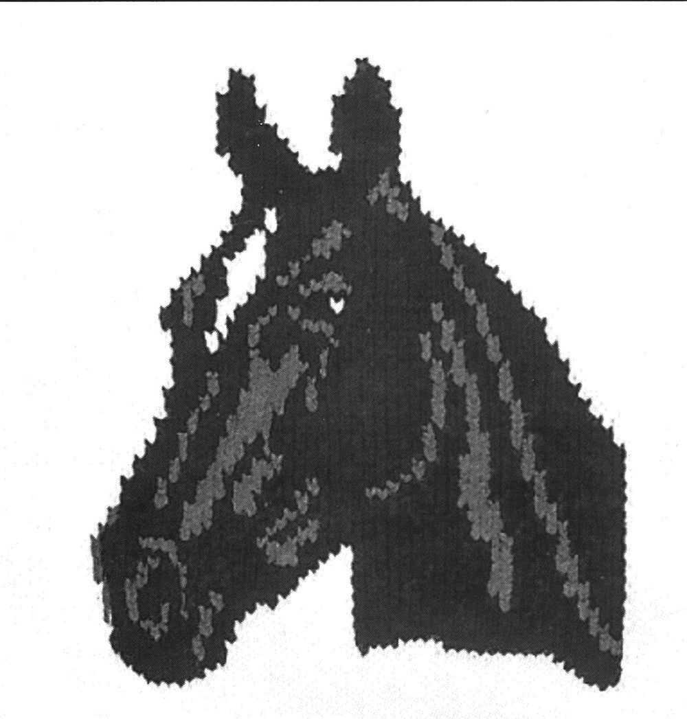 Black Horse Jacket