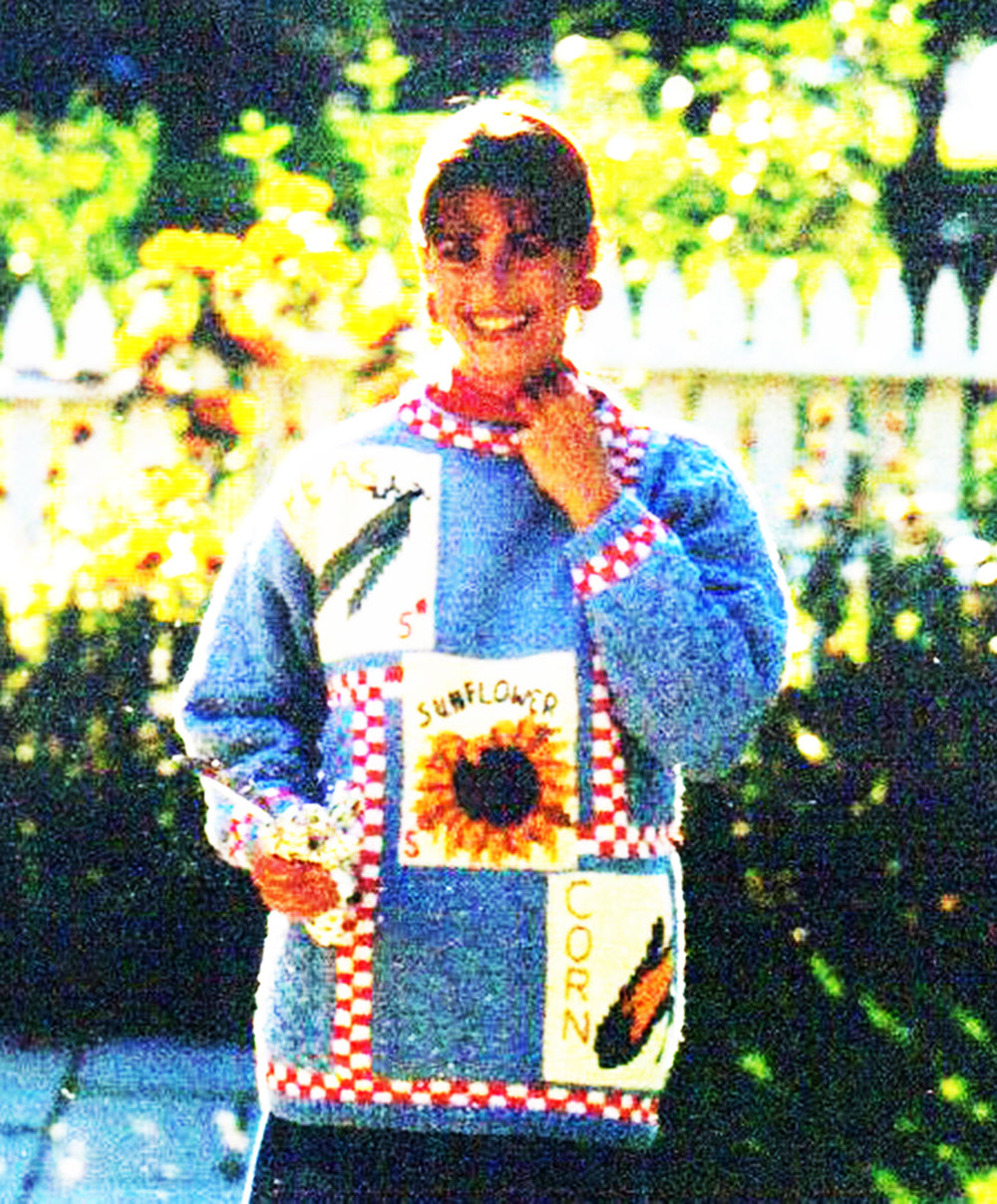 Seed Packets Pullover Pattern